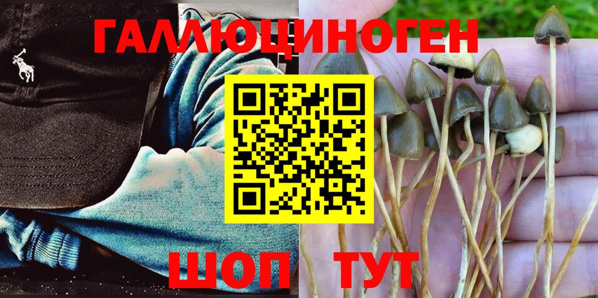 Сосновый Бор  как найти   Вход с VPN  Галлюциногенные грибы ЛСД 