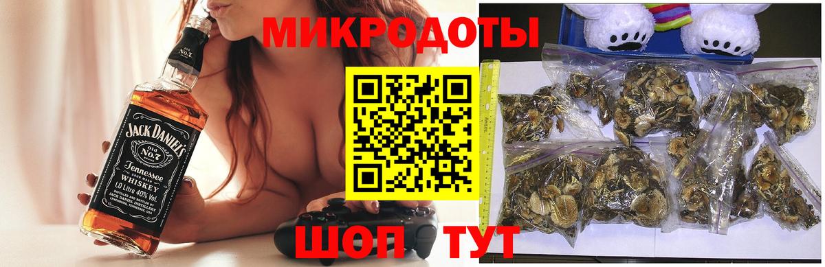 Псилоцибиновые грибы ЛСД Сосновый Бор