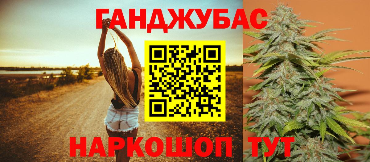 Канабис план Сосновый Бор